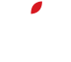 PiP